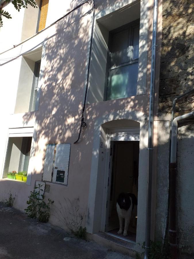 דירות Lodève La Maison D Annick מראה חיצוני תמונה